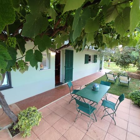 Independent Apartment With A Fabulous Patio - Casa Penny Cisano sul Neva Exterior photo